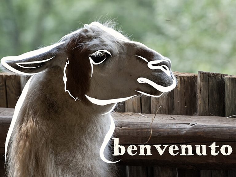 benvenuto-scuderia-della-valle-welcome