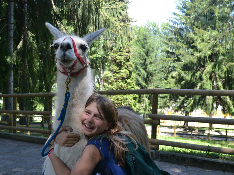 Trekking con i lama - vacanze avventura con i bambini a Bergamo