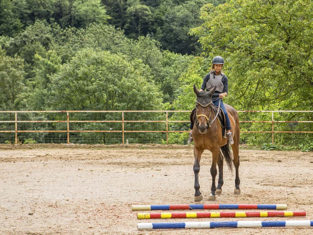Lezioni di equitazione a Bergamo