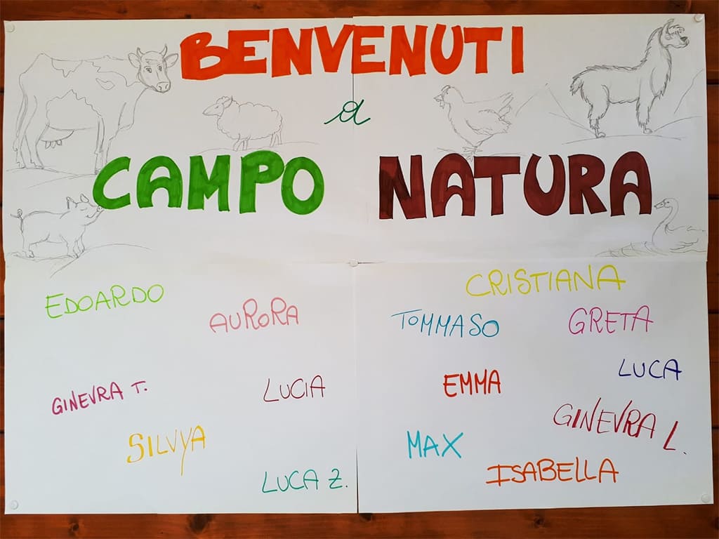 Campi estivi Bergamo - 2019