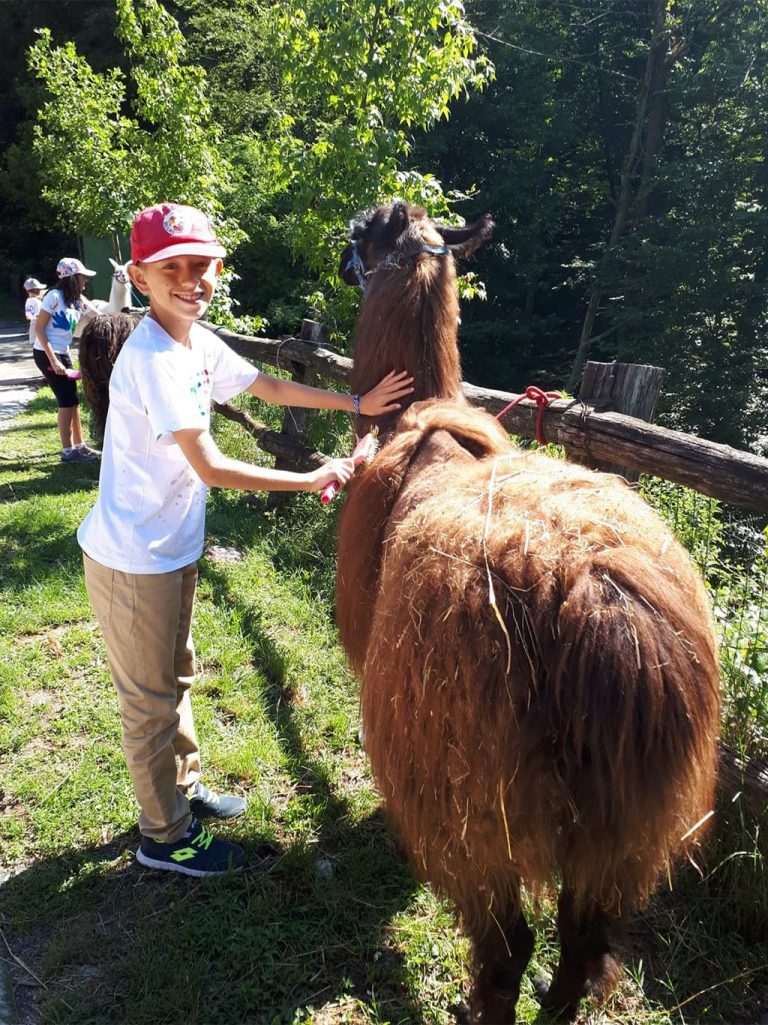 Campo estivo Bergamo - trekking con i lama - 14/20 luglio 2019 - 1