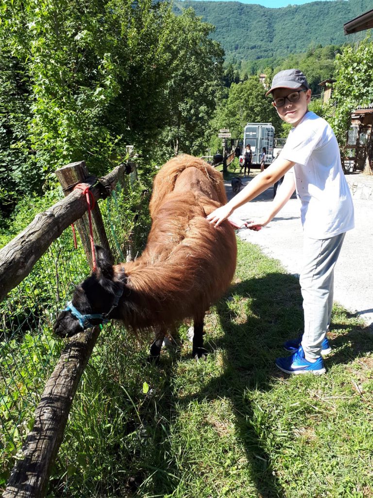 Campo estivo Bergamo - trekking con i lama - 14/20 luglio 2019 - 2