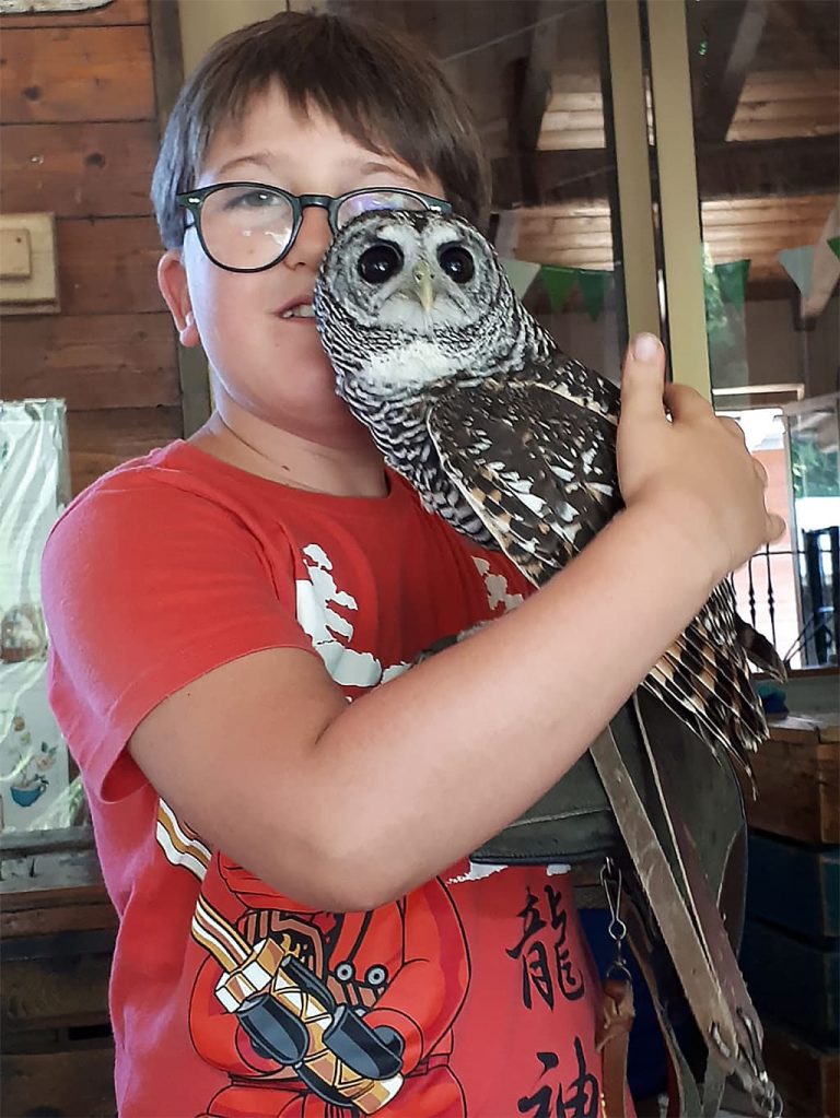 Campo estivo Bergamo - 21/27 luglio 2019 - falconeria - 1