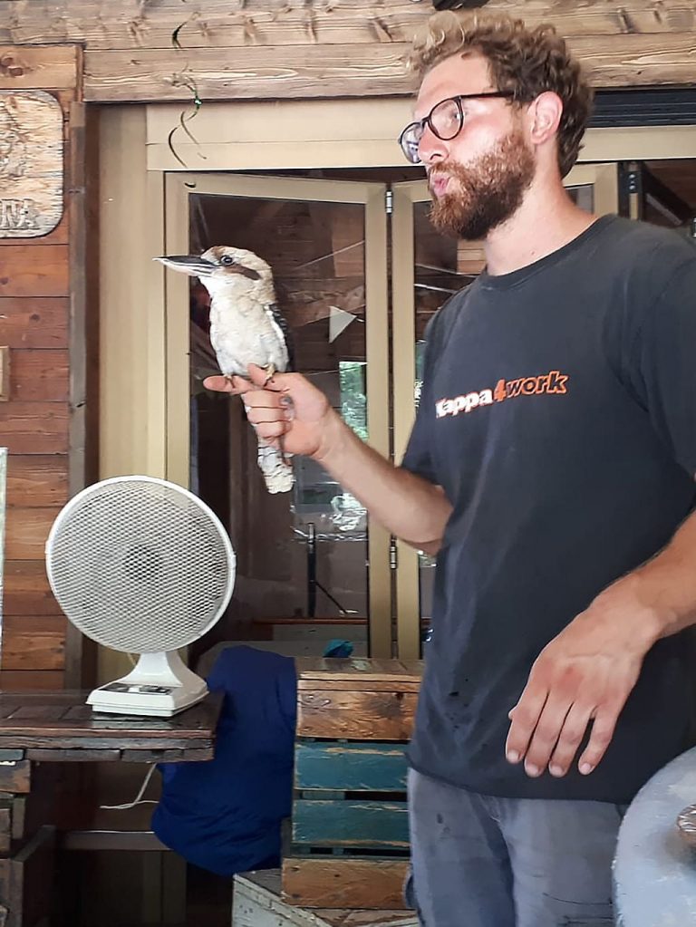 Campo estivo Bergamo - 21/27 luglio 2019 - falconeria - 2