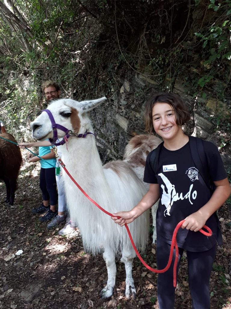 Campo estivo Bergamo - trekking con i lama - 21/27 luglio 2019 - 2