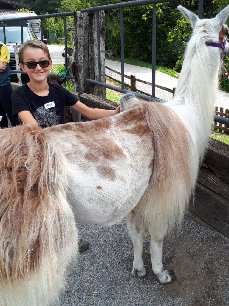 Campo estivo Bergamo - trekking con i lama - 21/27 luglio 2019 - 3