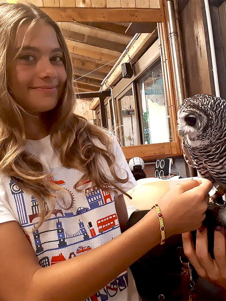 Campo estivo Bergamo - 28 luglio/3 agosto 2019 - falconeria - 1