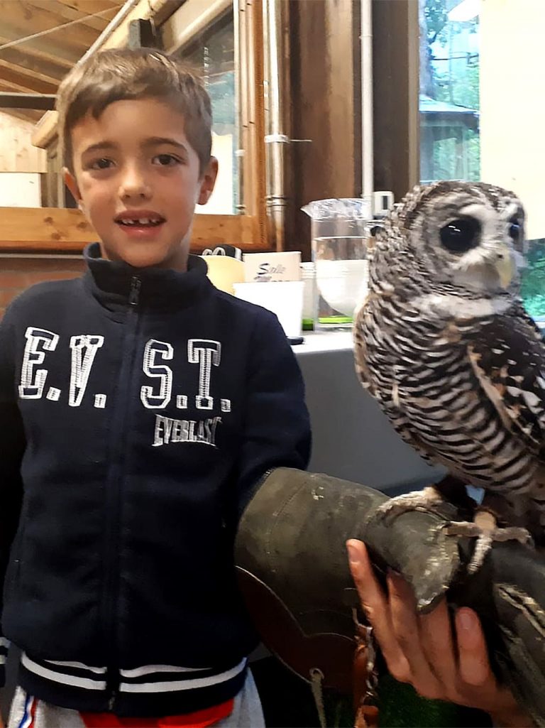 Campo estivo Bergamo - 28 luglio/3 agosto 2019 - falconeria - 2