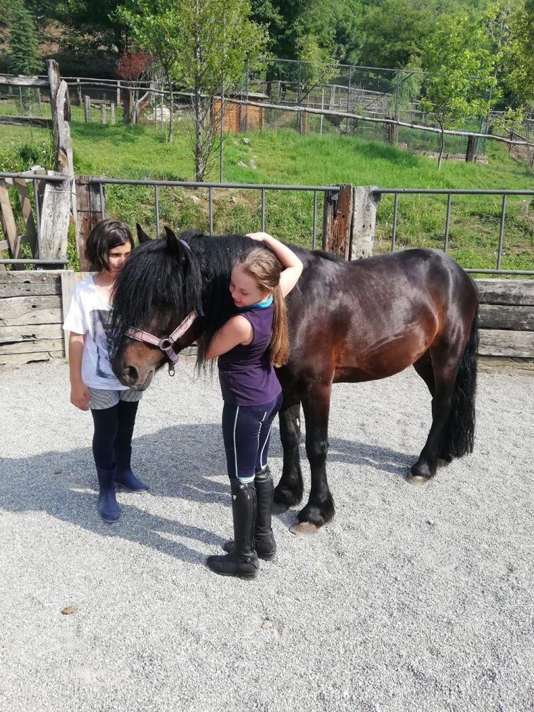 Campo estivo Bergamo - equitazione - 22/27 luglio 2019