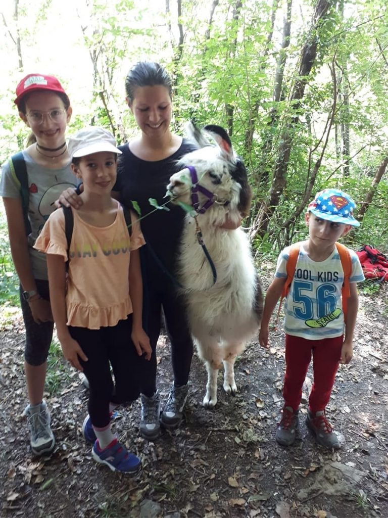Campo estivo Bergamo - trekking con i lama - 2