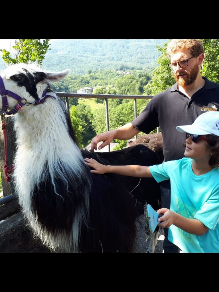 Campo estivo Bergamo - trekking con i lama - 3