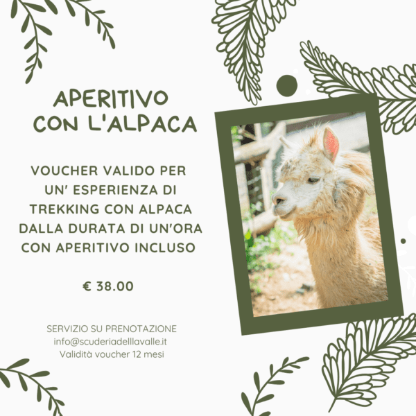 Aperitivo con l'alpaca