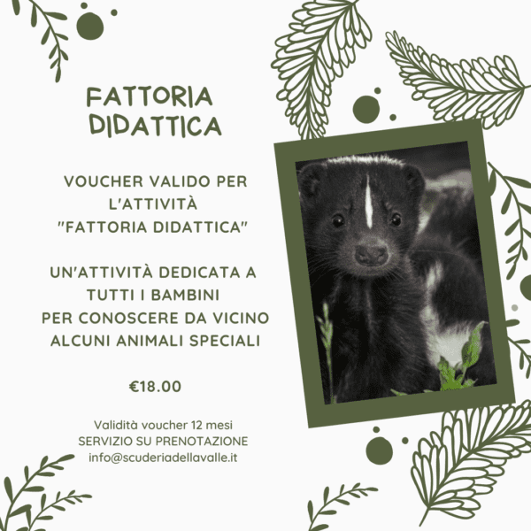 Fattoria Didattica