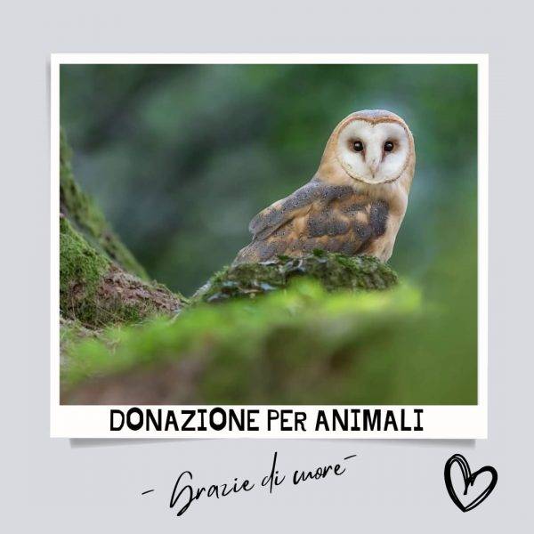 Donazione libera Oasi