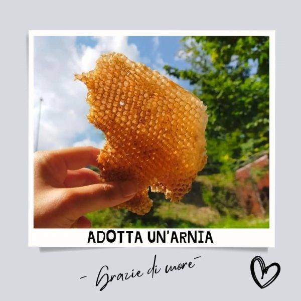 Adotta un arnia