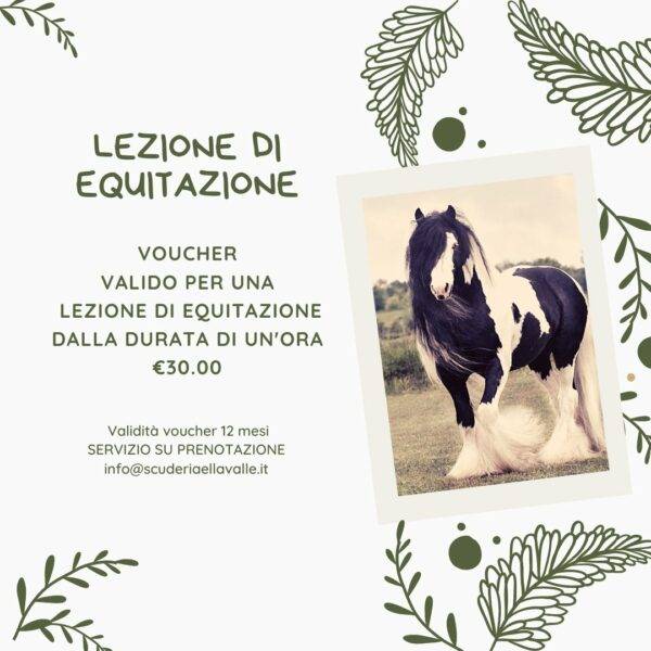 Lezione di equitazione