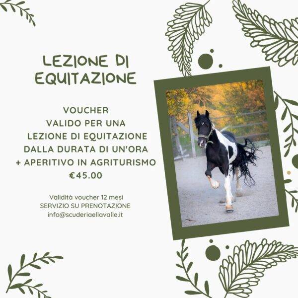 Lezione di equitazione con aperitivo incluso