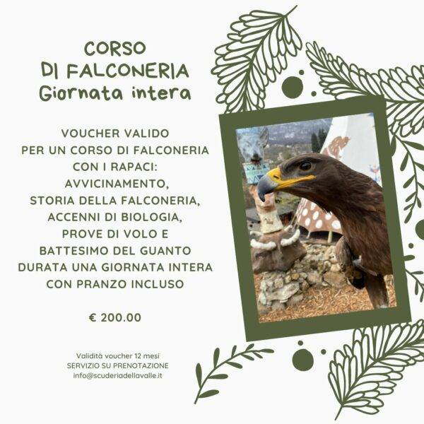 Corso di gestione dei rapaci - una giornata intera