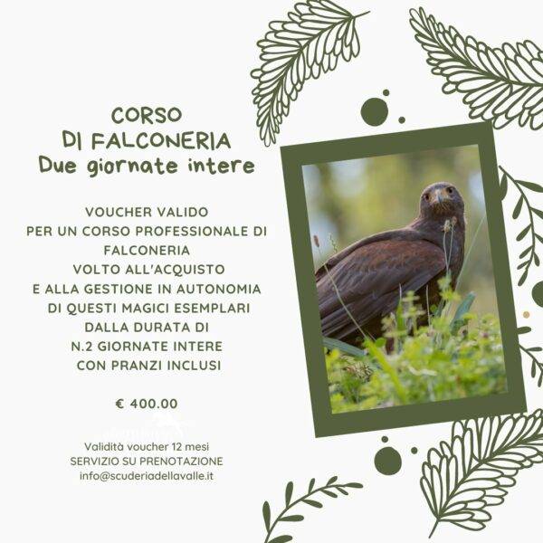 Corso professionale di Falconeria - N.2 giornate