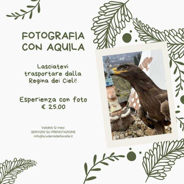 Fotografia con Aquila