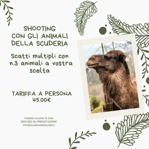 Shooting animali della Scuderia
