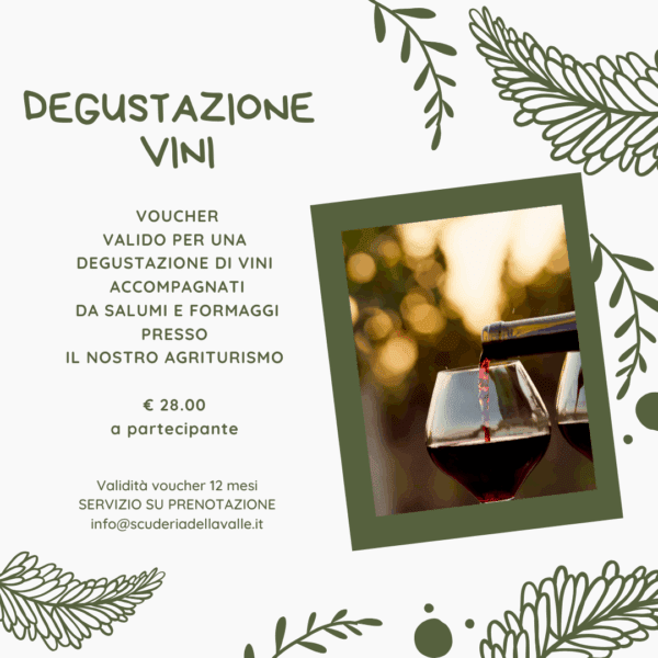 Degustazione vini e tagliere