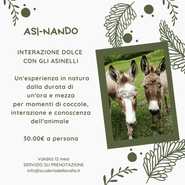 Asi-Nando Interazione dolce con gli asinelli