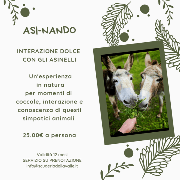 Asi-Nando Interazione dolce con gli asinelli