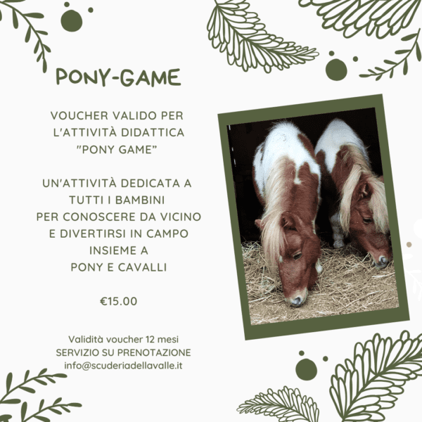 Pony-Game